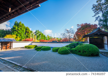 Autumn leaves of Shodenji Temple in Kyoto Autumn leaves of Shodenji Temple in Kyoto 74346897