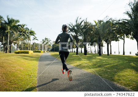 Fitness woman running training for marathon on sunny tropical park trail Fitness woman running training for marathon on sunny tropical park trail 74347622
