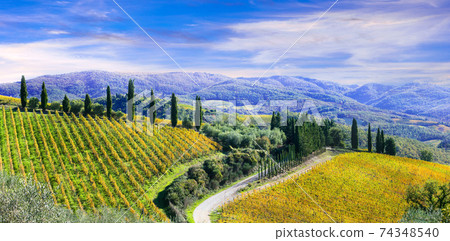 Beautiful scenery of rural Tuscany with autumn vineyards. Italy Beautiful scenery of rural Tuscany with autumn vineyards. Italy 74348540