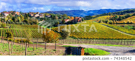 Scenic countryside with vineyards in autumn colors. Tuscany, Italy Scenic countryside with vineyards in autumn colors. Tuscany, Italy 74348542