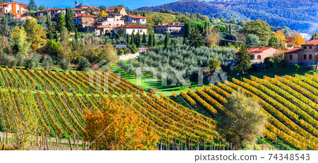 Scenic countryside with vineyards in autumn colors. Tuscany, Beautiful Italy series Scenic countryside with vineyards in autumn colors. Tuscany, Beautiful Italy series 74348543
