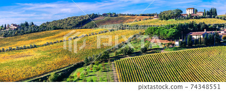 Beautiful Tuscany countryside - vast wineyards in Chianti region, Italy Beautiful Tuscany countryside - vast wineyards in Chianti region, Italy 74348551