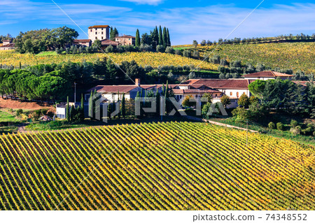 Beautiful Tuscany countryside -  wineyards in Chianti region, Italy 74348552