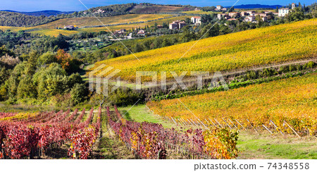 Beautiful Tuscany countryside -  wineyards in Chianti region, Italy 74348558