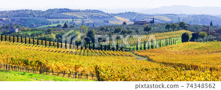 Traditional scenery of Tuscany .beautiful Chianti - vine region of Italy Traditional scenery of Tuscany .beautiful Chianti - vine region of Italy 74348562