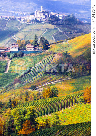Vineyards and castles of Piemonte in autumn colors. Italy 74348579