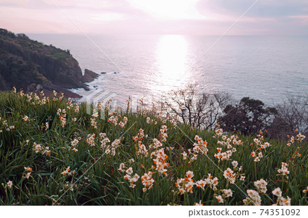 Echizen Narcissus Nashigadaira evening view 74351092