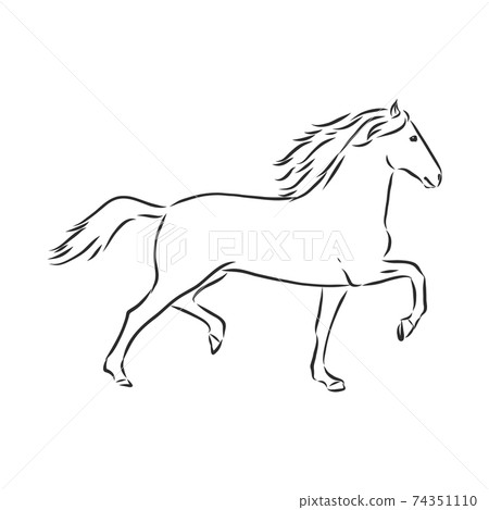 Vector silhouette of a horse. beautiful horse vector sketch illustration Vector silhouette of a horse. beautiful horse vector sketch illustration 74351110