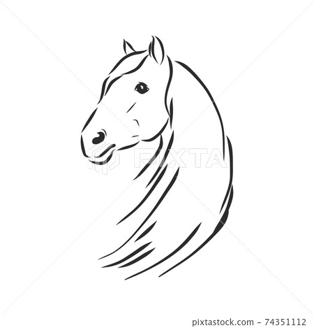 Vector silhouette of a horse. beautiful horse vector sketch illustration Vector silhouette of a horse. beautiful horse vector sketch illustration 74351112