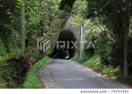 手挖隧道 74351491