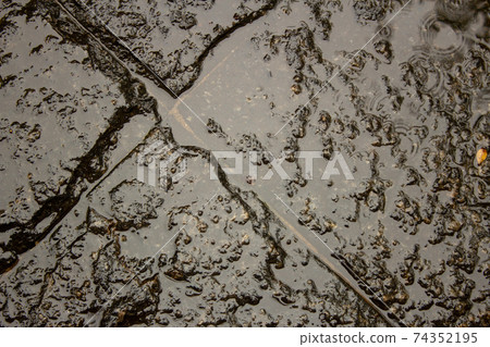 Wet stone tiles during a rainy day 74352195