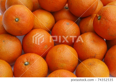 Good-natured 74352535