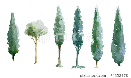 Green tree watercolor illustration set. Natural cypress trees. Hand drawn leafy and evergreen tree element collection. Green forest and garden single images on white background 74352578