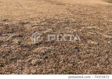 Winter lawn Winter lawn 74353672