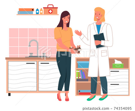 Veterinarian doctor talking with mistress of the hamster in medical office. Visit to the vet clinic 74354095