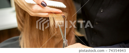 Hairdresser cuts tips female hair 74354943