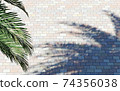 鋪在地板磚上的棕櫚樹的陰影 74356038