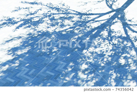 The shade of trees that shine on the floor tiles The shade of trees that shine on the floor tiles 74356042