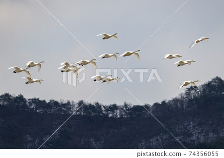 Goni, Cheolwon-gun, Gangwon-do Goni, Cheolwon-gun, Gangwon-do 74356055