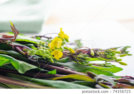 Beet moss Beet moss 74356725