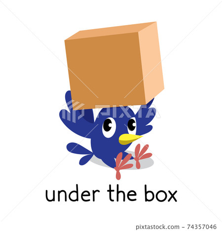 Preposition of place. Bird under the box Preposition of place. Bird under the box 74357046