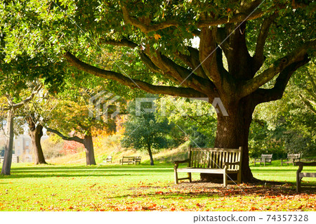 Kew Gardens park 74357328