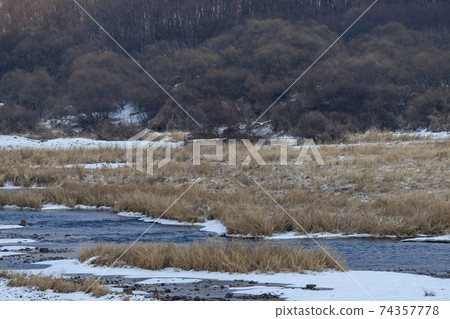 Crane, Cheolwon-gun, Gangwon-do Crane, Cheolwon-gun, Gangwon-do 74357778