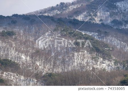 Crane, Cheolwon-gun, Gangwon-do Crane, Cheolwon-gun, Gangwon-do 74358005