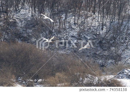 起重機,Cheolwon-gun,江原道 起重機,Cheolwon-gun,江原道 74358138