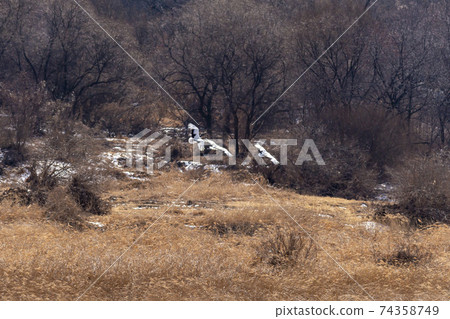 Crane, Cheolwon-gun, Gangwon-do Crane, Cheolwon-gun, Gangwon-do 74358749