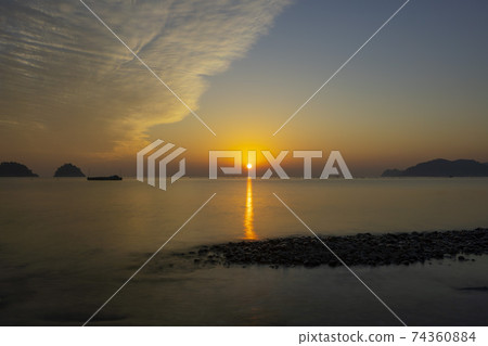 蘑菇，麗水，全南 74360884