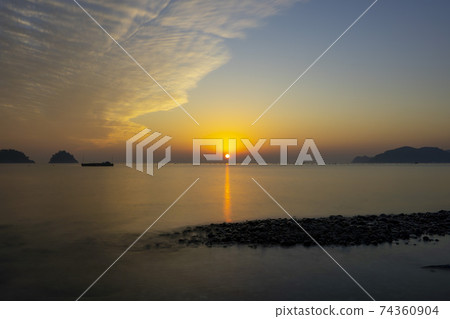 Mushroom, Yeosu, Jeonnam 74360904