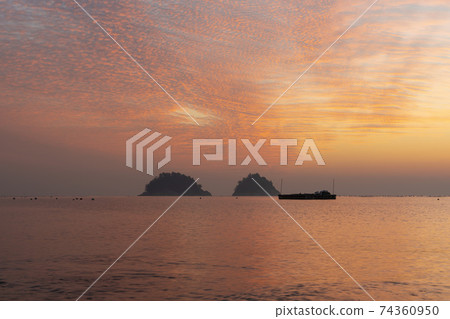 Mushroom, Yeosu, Jeonnam Mushroom, Yeosu, Jeonnam 74360950