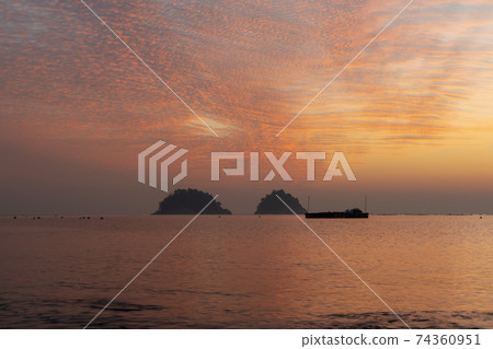 Mushroom, Yeosu, Jeonnam 74360951