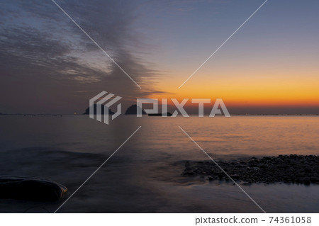 Mushroom, Yeosu, Jeonnam Mushroom, Yeosu, Jeonnam 74361058