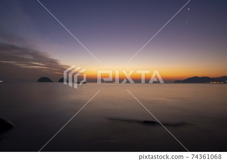 Mushroom, Yeosu, Jeonnam Mushroom, Yeosu, Jeonnam 74361068