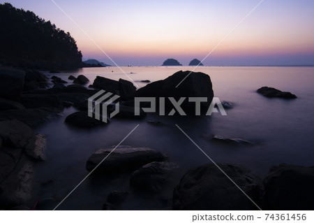 Mushroom, Yeosu, Jeonnam Mushroom, Yeosu, Jeonnam 74361456