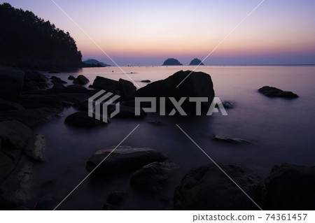 Mushroom, Yeosu, Jeonnam Mushroom, Yeosu, Jeonnam 74361457