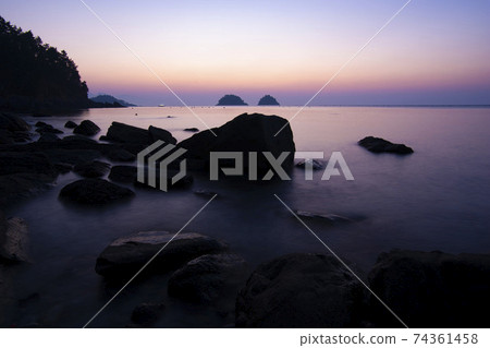 Mushroom, Yeosu, Jeonnam Mushroom, Yeosu, Jeonnam 74361458