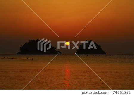 Mushroom, Yeosu, Jeonnam Mushroom, Yeosu, Jeonnam 74361851