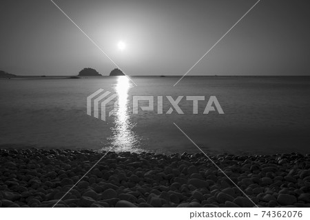 Mushroom, Yeosu, Jeonnam Mushroom, Yeosu, Jeonnam 74362076