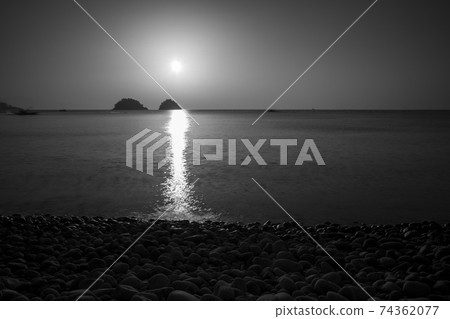Mushroom, Yeosu, Jeonnam Mushroom, Yeosu, Jeonnam 74362077