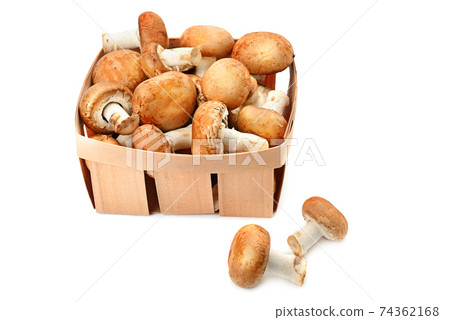 champignon mushrooms, isolated on white background 74362168