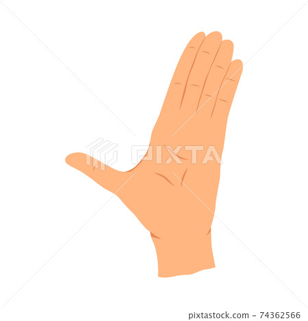 Hands gesture. Communication language or Signlanguage. Gestures witch showing emotion or sign on white background. Flat design modern vector concept Hands gesture. Communication language or Signlanguage. Gestures witch showing emotion or sign on white background. Flat design modern vector concept 74362566
