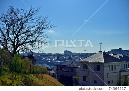 Houses in a city 74364217