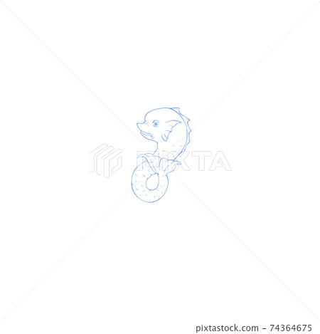 Delphinus, constellation picture, summer constellation Delphinus, constellation picture, summer constellation 74364675