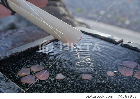 Fortune-telling with water lottery (Shiroyama Hachimangu Shrine, Chikusa-ku, Nagoya City, Aichi Prefecture) 74365915