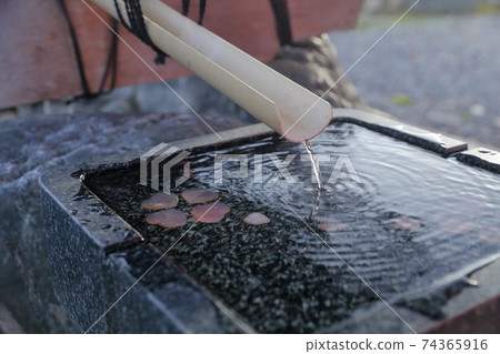 Fortune-telling with water lottery (Shiroyama Hachimangu Shrine, Chikusa-ku, Nagoya City, Aichi Prefecture) Fortune-telling with water lottery (Shiroyama Hachimangu Shrine, Chikusa-ku, Nagoya City, Aichi Prefecture) 74365916