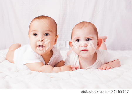 Two baby twins lying on the stomach at the white 74365947