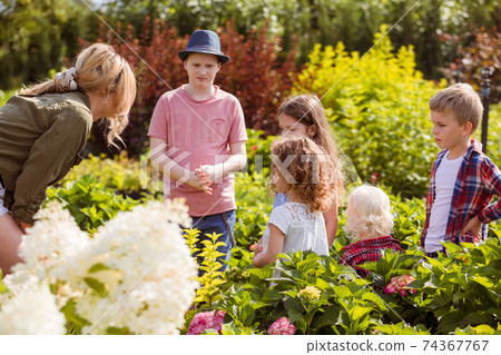 School Children at the open space biology lesson 74367767